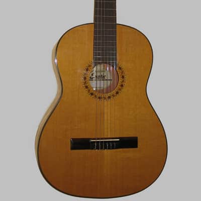 Giannini Classical Guitar All Solid Wood Made in Brazil w/Giannini Gig Bag image 1