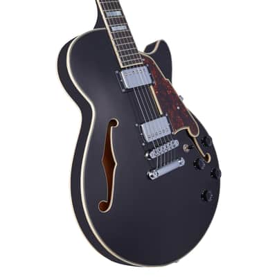 D'Angelico Premier SS Semi-Hollow Body Electric Guitar, Black Flake w/Gig Bag image 21
