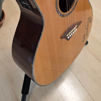 Dave Mustaine's personal Dean Recording Studio Acoustic Guitar Martin D45 Cutaway MEGADETH Artist Signed owned by DAVE MUSTAINE with custom USA tour soft case image 14
