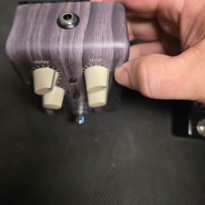 LR Baggs Align Series Delay Pedal with Tap Tempo Pedal image 6