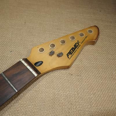 Neck Maple/Rosewood, Genuine Peavey Predator image 1