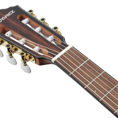 Ibanez Frh10 N Ntf image 4