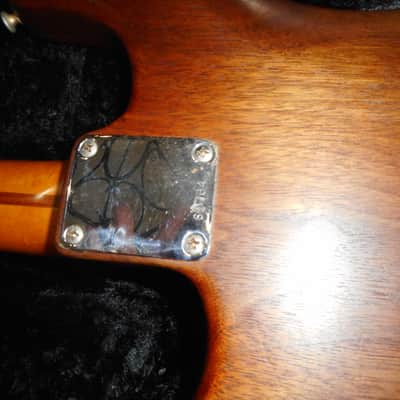Schecter Van Nuys Dream Machine Exotic 1982  - Walnut  Natural Exotic Woods 8.5 lbs image 5