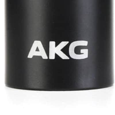 AKG C151 Small-diaphragm Condenser Microphone image 1