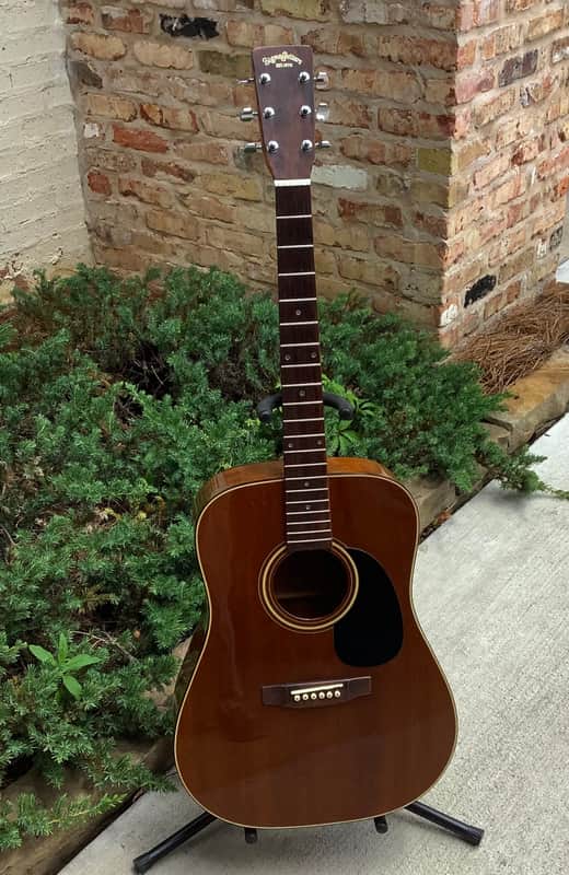 Sigma DM-3M 1980s - PROJECT! image 1