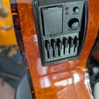 Wechter Pathmaker 3135 Acoustic Electric Guitar image 5
