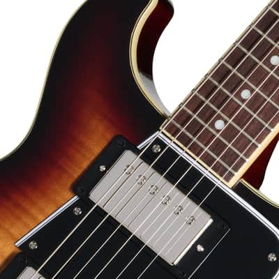 Epiphone Les Paul Special Double Cut Electric Guitar - Figured Bourbon Burst image 6