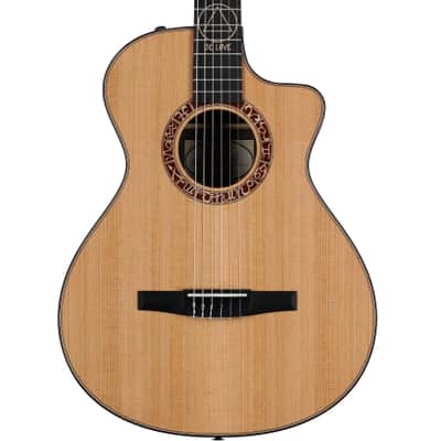 Taylor Jason Mraz Signature Model Grand Concert Classical Acoustic-Electric Guitar (with Case) image 1