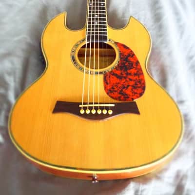 SG Style Acoustic-Electric image 1