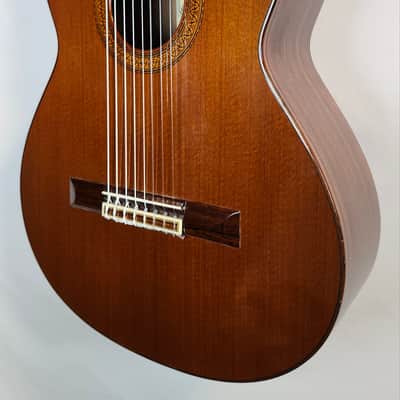 Ramirez 1975 Class 1a 8-String Classical Guitar, Made in Madrid, w/Paperwork, HSC image 3