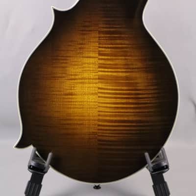 Bourgeois M5-F-SB: F-style, F-hole Mandolin (Sunburst) Aged Tone Adirondack Spruce Top, Aged Tone European Maple back and sides. 2026 image 8