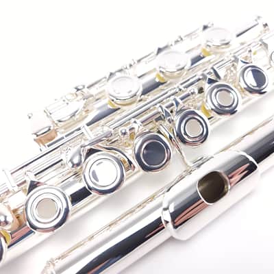Di Zhao DZ 701 Flute Open Hole B Foot Split E Sterling Silver Pre-Pro NEW image 8