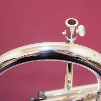 Brasspire Unicorn BPFG-850BS Black Nickel Trim (NEW) Flugelhorn image 6