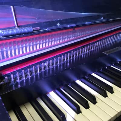Baldwin Solid Body Harpsichord 1967 Black w/Red Soundboard image 4