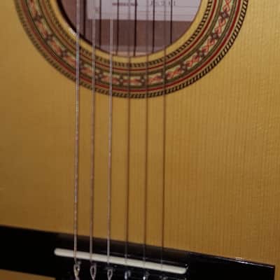 Jasmine JS241 1/2 Classical Guitar w/Chipboard Case image 7