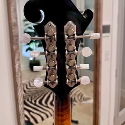 Aleyas F5D 2013-2020 - Sunburst Varnish Finish image 3