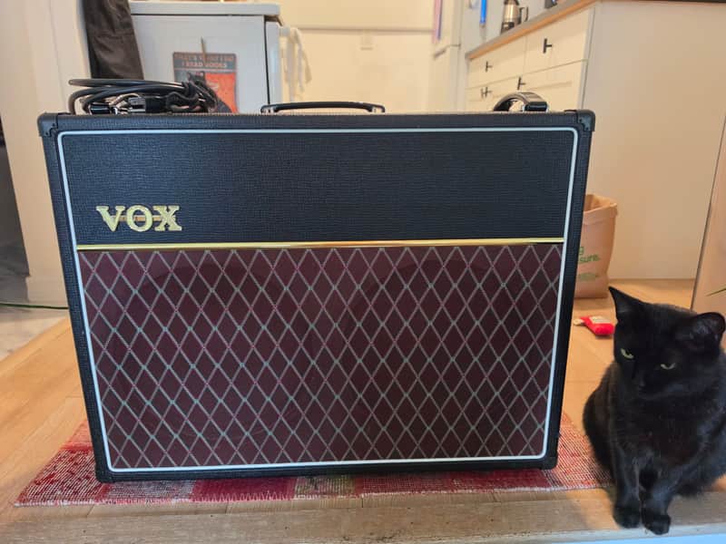 Vox AC30C2X Custom 2-Channel 30-Watt 2x12" Blue Alnico Guitar Combo 2010 - 2019 - Black image 1