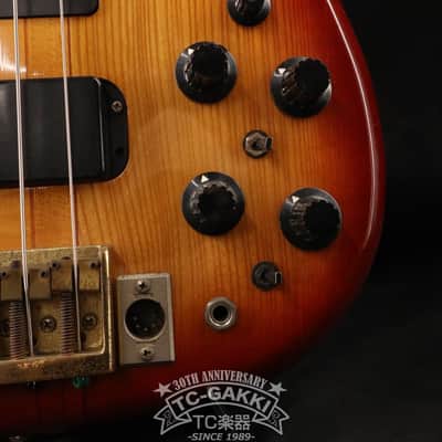 Fernandes 1979-1981 FPM-100 image 9