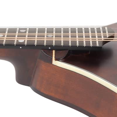 Eastman MD305 A-Style Mandolin Adirondack Wide Neck - Amberburst image 9