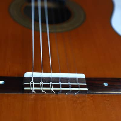 Eugenio Riba 2020 Classical Guitar "La Pluma" – A Masterful Copy of an Antonio de Torres Guitar - Check Video! image 14
