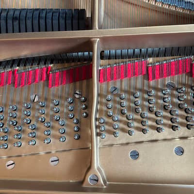 Steinway & Sons B 1959 - Ebony Satin #362672 Bild 3