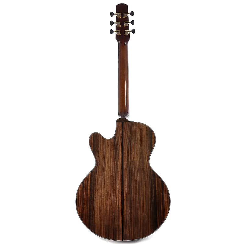 Santa Cruz Fingerstyle image 2