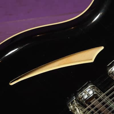 1989 Rickenbacker 370/12RM Roger McGuinn Semihollow Electric 12-String Guitar (VIDEO! Fresh Work, Ready to Go, w/Pedal) image 11