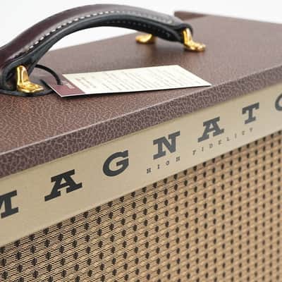 Magnatone Starlite Reverb 1x8 Combo image 2