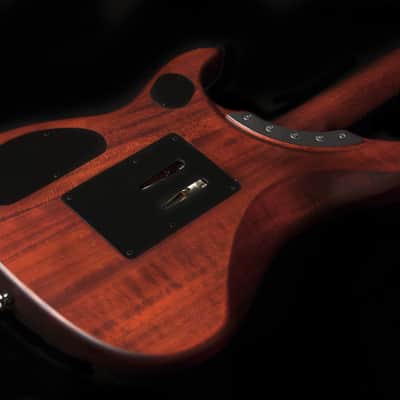 Washburn 6 String Solid-Body Electric Guitar, Padauk Vint. Matte (N24PSVINTAGEK-D) image 8