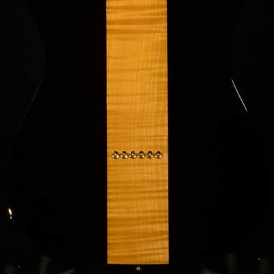 Fender Custom Shop Merle Haggard Signature Telecaster image 2