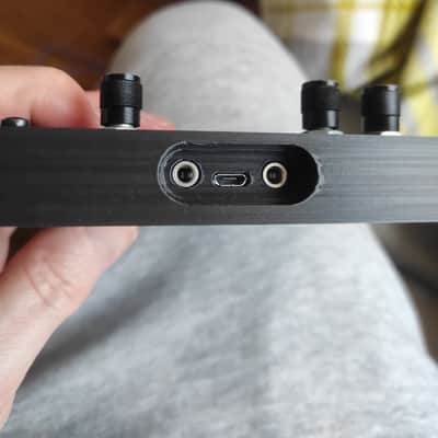 Plinky Synthesizer V1 Original Batch w/Eurorack Expander And 3d Printed Case image 8