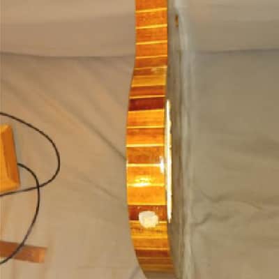 BLACK FRIDAY SALE, Custom SG Double Neck Guitar Body- Walnut & Maple. Only One Made,,6 String/12 String image 20