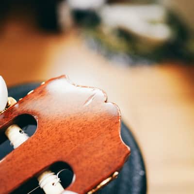 1970s Takamine No.30 Classical Guitar – Hand Crafted | Made in Japan | Solid Top | Hiscox Hard Case image 21