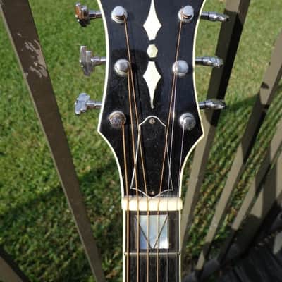 1980 Schulte  Florentine Cutaway Acoustic Jazz Guitar image 5