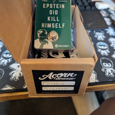 Acorn Amplifiers Epstein didn't kill himself fuzz 2026 - Green image 1