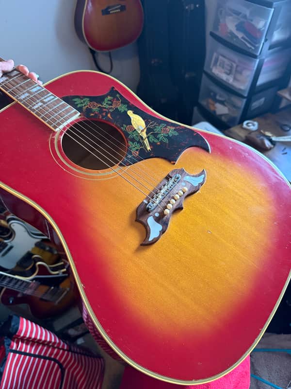 Gibson Dove 1966