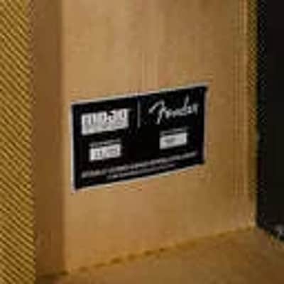 Fender Tweed Twin Low Power Style 2x12 Combo Guitar Amp Cabinet With Lacquered Tweed Finish<br> image 5