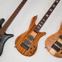 Spector REX 5 PRO Neck-Thru Bass in Black Stain Gloss - FREE