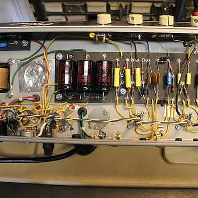Li'l Dawg Amps 6G2 ChocoPrince combo 2025 image 13