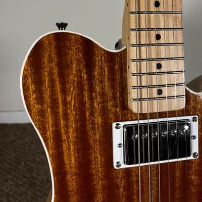 Catalyst Ember Semi-Hollow Electric Guitar - Sapele - Gloss Nitro image 7