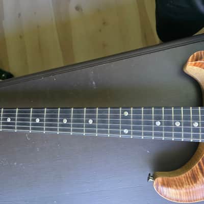 PRS Wood Library 10-top 2024 DGT Copperhead with Korina back and neck image 14