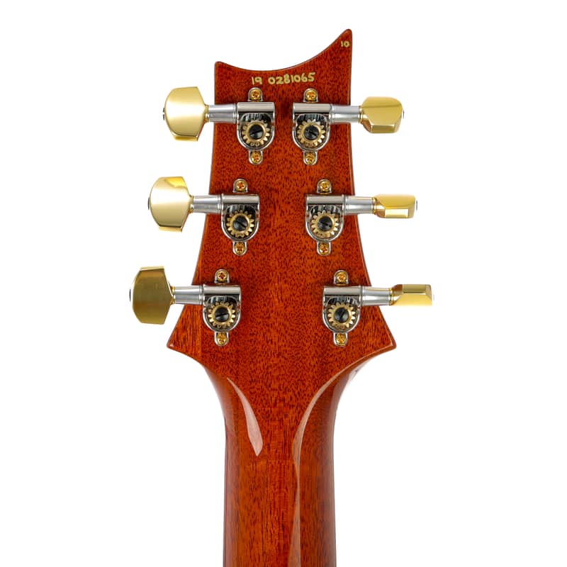 PRS Special 22 Semi-Hollow Limited Edition 10-Top 2018 - 2019 image 4