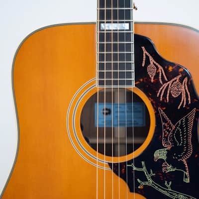 2024 Epiphone FT120 Masterbilt Excellente Acoustic - in Natural image 12