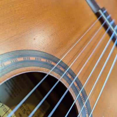 Gibson C-100 Master Model 1970 - Matte Amber image 13