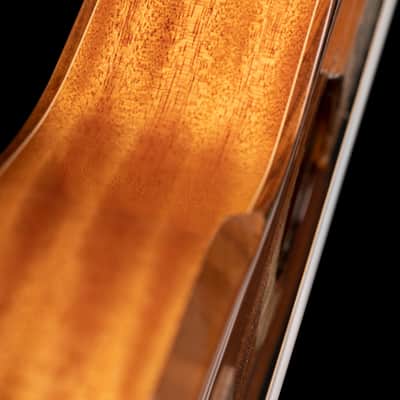 Ortega Eclipse-TE8 Custom Built Series Solid Mahogany Top Okume Neck 8-String Tenor Ukulele w/Gig Bag image 6