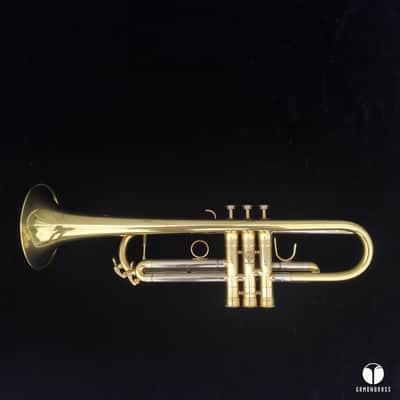 Henri Selmer Paris CONCEPT TTM Twin Tube trumpet case mouthiece gamonbrass image 8