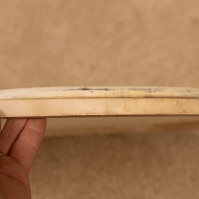 1950s WFL 24" Calfskin Bass Drum Head image 5