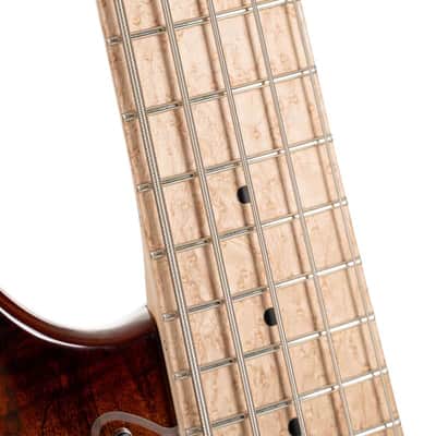 Cort GB-Fusion 5 Antique Brown Burst w/Gigbag image 8