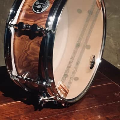 Sonor S Classix 100% Birch with Walnut venner .MINT! Free Bag-! image 3
