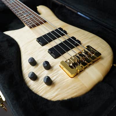 Spector USA NS-5XL - Curly/Flame Solid Wings Oil Finish Left-Handed 5-String Bass Guitar w/ Black Tolex Case (2023) image 18